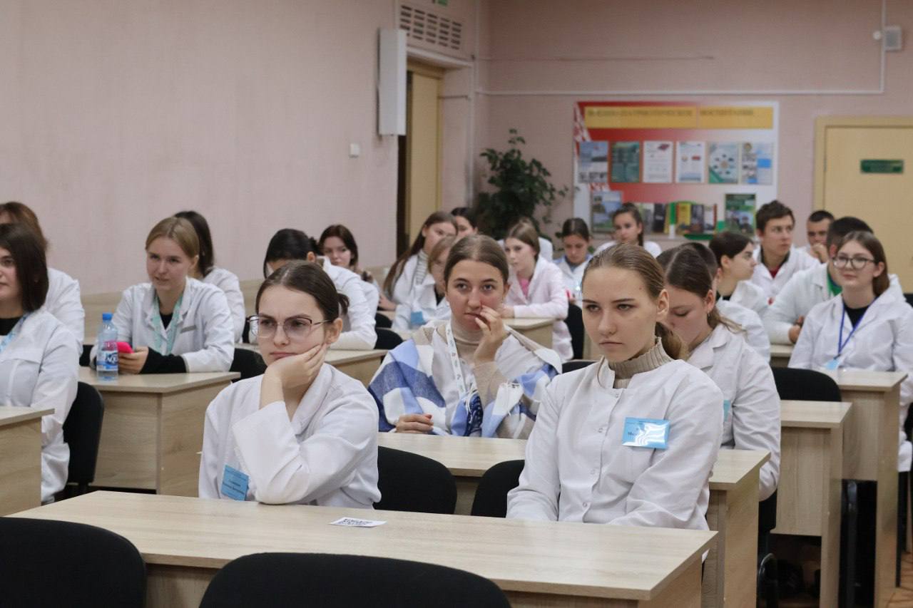 изображение viber 2024-11-18 10-24-39-505